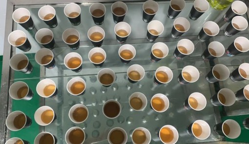 paper cups testing paper cups testing