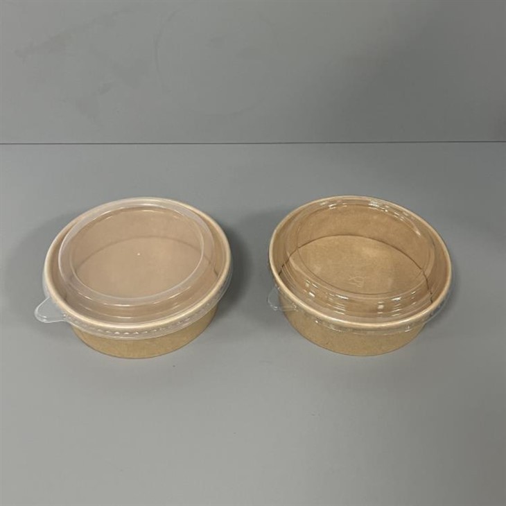 500ml kraft bowls with pp pet lid